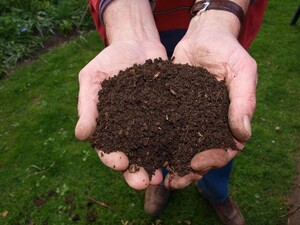 Gratis compost