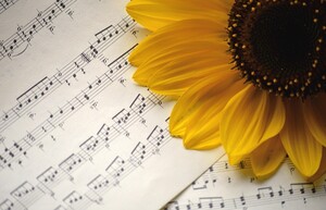 Zomerconcert in de buurttuin