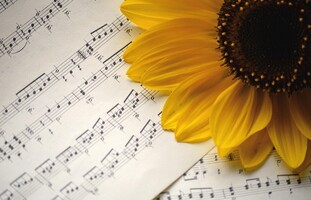 Zomerconcert in de buurttuin