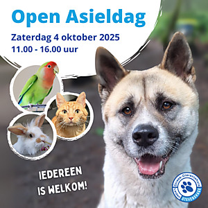 Open Asieldag