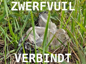 AAN DE SLAG, STEVENSHOF SCHOON
