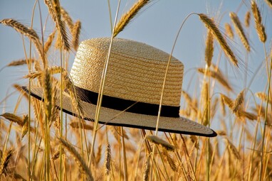 Vakantie